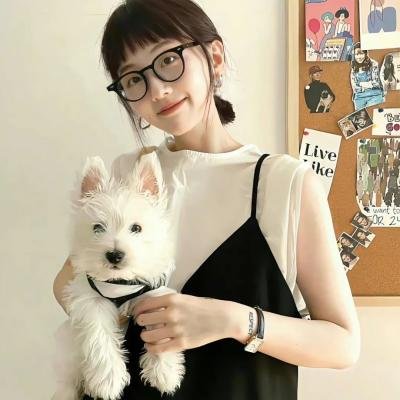 史上最强姑爷